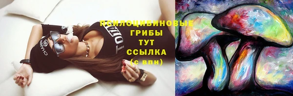 гашик Верхнеуральск