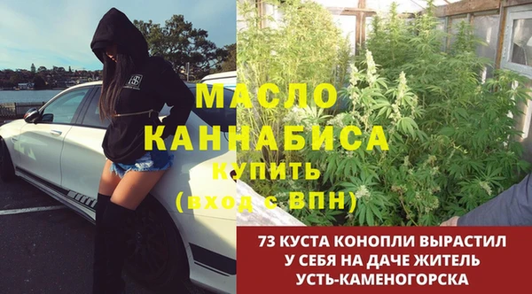 экстази Бородино