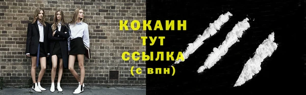 ПСИЛОЦИБИНОВЫЕ ГРИБЫ Верея
