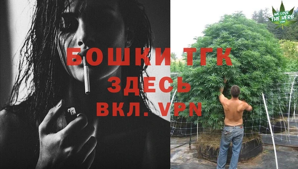 экстази Бородино
