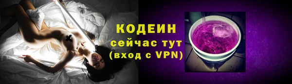 ПСИЛОЦИБИНОВЫЕ ГРИБЫ Верея