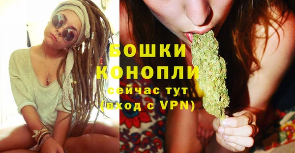 ПСИЛОЦИБИНОВЫЕ ГРИБЫ Верея