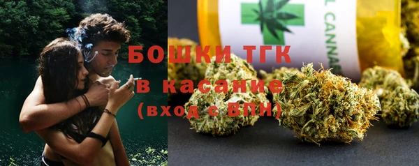 экстази Бородино
