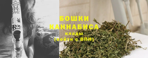 ПСИЛОЦИБИНОВЫЕ ГРИБЫ Верея