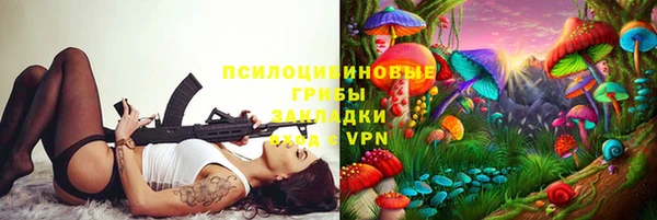 экстази Бородино