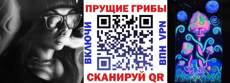 наркотики  Чекалин  Галлюциногенные грибы мухоморы 